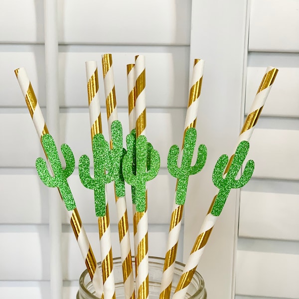 Cactus Theme Party - Etsy