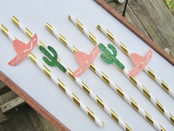 Cinco De Mayo Cactus and Sombrero Party Straws, Fiesta Party Straws, Cactus Party Decorations, Fiesta Party Theme, Cinco de Mayo Straws Il_570xn