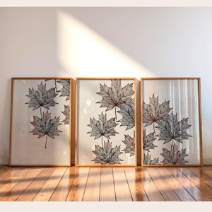 Könnte beinhalten: Drei gerahmte Kunstdrucke mit detaillierten Illustrationen von schwarzen und grauen Ahornblättern auf cremefarbenem Hintergrund. Die Kunstwerke sind in hellbraunen Holzrahmen eingefasst. Die Drucke werden auf einem Holzboden präsentiert.