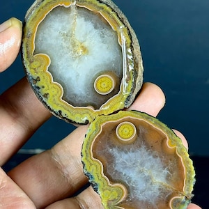 May include: Two polished agate slices featuring concentric bands of yellow, brown, and white. The centres contain translucent crystalline formations and distinct circular inclusions. The outer edges show a rough, dark, and textured natural stone rind.