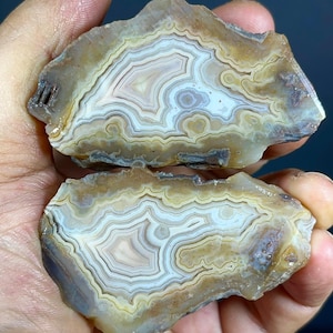 Può includere: Due fette di agata lucidata con bande concentriche di colore bianco, crema e marrone traslucido. Le pietre presentano una forma naturale irregolare con una superficie liscia e lucida che mette in risalto le complesse formazioni minerali.