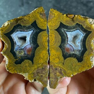 Può includere: Due metà di una pietra d'agata lucidata, che mostra bande concentriche gialle, nere, bianche e marroni. Il centro rivela una cavità cristallina. La pietra è tenuta in mano, mostrando i suoi motivi e le sue trame naturali.