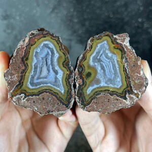 May include: Two halves of a polished agate stone, showcasing concentric bands of color. The interior features a light blue and white pattern, surrounded by layers of yellow, brown, and dark green. The outer edge is a rough, reddish-brown.
