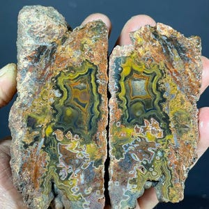 Puede incluir: Dos mitades de una geoda de ágata pulida con intrincadas bandas concéntricas en tonos amarillo mostaza, negro profundo, naranja óxido y marrón tierra, con una corteza exterior rugosa y texturizada que rodea el interior cristalino.