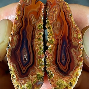 Puede incluir: Dos rodajas de ágata pulida con bandas concéntricas de rojo intenso, naranja y morado oscuro, con un borde exterior cristalino y texturizado que contiene pequeños depósitos minerales de color amarillo verdoso en todo el perímetro irregular.