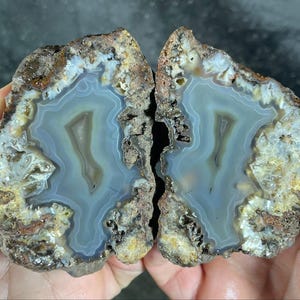 May include: Two halves of a polished agate stone, displaying a blue and grey interior with concentric banding. The outer edges are rough and brown, showing the natural rock formation. A unique geological specimen.
