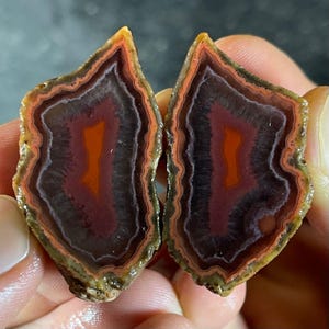 May include: Two halves of a polished agate stone, displaying concentric bands of colour. The centre is a vibrant orange, encircled by layers of deep red, dark grey, and white, with a golden-brown outer edge. The stone's natural patterns are clearly visible.