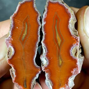 Può includere: Due metà di una pietra d'agata lucidata, che mostra vibranti tonalità arancioni e gialle con intricati motivi a bande. I bordi della pietra sono ruvidi, con uno strato esterno bianco e marrone, che rivela una trama naturale e organica.