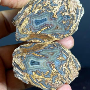 May include: Two polished halves of a rock specimen featuring intricate banding patterns in shades of tan, brown, and grey. The centre of each piece displays a translucent blue-grey crystalline core surrounded by concentric layers of earthy mineral deposits.