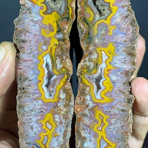 May include: A split agate geode specimen featuring intricate, concentric banding in vibrant shades of yellow, purple, white, and brown. The interior displays crystalline structures and jagged, mineralised edges, showcasing a natural, layered geological formation.