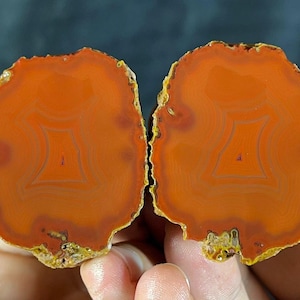 Può includere: Due metà di una pietra d'agata lucidata, che mostrano bande concentriche di tonalità arancioni e beige. Il centro della pietra presenta un motivo geometrico e i bordi sono un misto di giallo e bianco. La pietra è tenuta tra le mani di una persona.