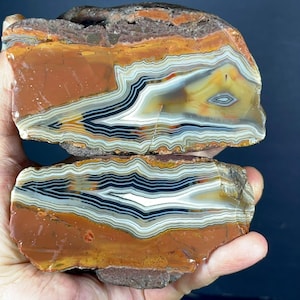 May include: Two polished halves of a banded agate stone featuring concentric layers of rust-red, white, black, and translucent amber colours. The cross-section displays intricate, wavy mineral banding patterns with a smooth, glossy surface texture.