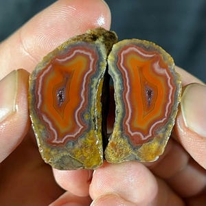 Può includere: Due metà di una pietra d'agata lucidata, che mostrano bande concentriche di tonalità arancioni, bianche e grigie. Il centro della pietra presenta una formazione cristallina scura. I bordi esterni mostrano tonalità gialle e marroni, evidenziando la bellezza naturale della gemma.