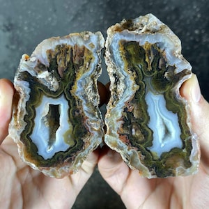 May include: Two halves of a polished agate stone, displaying concentric bands of colour. The stone has a central cavity, with layers of white, blue, green, brown, and tan hues. The rough exterior contrasts with the polished interior.