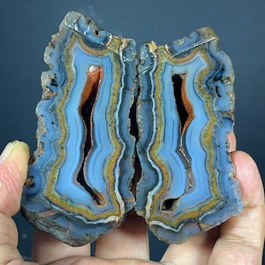 Puede incluir: Una geoda de ágata dividida que presenta bandas concéntricas de colores azul claro, amarillo y marrón oscuro. El centro de cada pieza revela una cavidad hueca con un interior de color marrón rojizo intenso. Los bordes son rugosos y grisáceos.