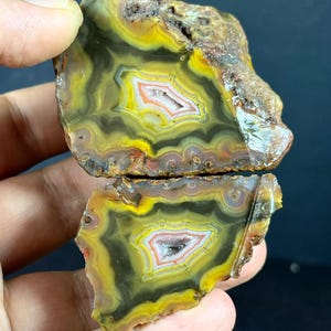 May include: A polished agate slice cut into two pieces, featuring concentric bands of yellow, olive green, and dark brown colours. The centre of each piece displays a small, crystalline cavity with white and orange mineral deposits.