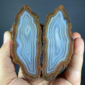 Puede incluir: Dos mitades de una geoda de ágata cortada que presenta bandas concéntricas de color azul claro, blanco y marrón tierra. El interior muestra un centro azul translúcido rodeado de anillos minerales texturizados y multicapa con un borde oscuro.