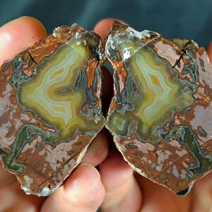 Può includere: Due metà di una geode di agata lucidata con un nucleo centrale di bande gialle e bianche traslucide circondato da uno strato esterno di inclusioni minerali color marrone terra, rosso ruggine e verde muschio con un bordo roccioso irregolare.
