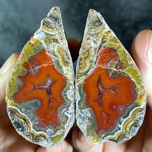 May include: Two halves of a polished agate stone, displaying a vibrant array of natural colours. The stone features a central area of deep red, surrounded by bands of yellow, green, and white, creating a unique pattern. The stone is held by a person.