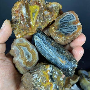 May include: A collection of five raw agate stones with polished faces, displaying intricate banding in shades of amber, yellow, grey, and black. The stones feature natural, rough, and textured outer edges with glossy, translucent, and layered interiors.