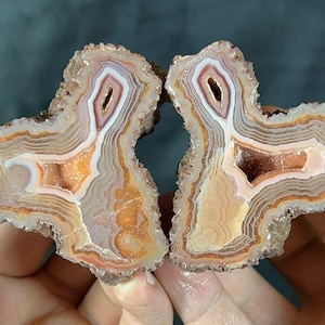 Può includere: Due metà di una pietra d'agata lucidata, che mostrano bande concentriche di colore. L'interno presenta una cavità cava con sfumature arancioni e marroni, circondata da strati bianchi, beige e marrone rossiccio. I bordi esterni sono ruvidi e strutturati.
