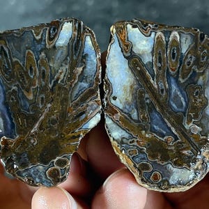 Puede incluir: Dos mitades de una piedra pulida, mostrando patrones intrincados. La piedra presenta una mezcla de tonos marrones, azules y blancos, con un diseño orgánico único. El corte revela una formación natural detallada, ideal para coleccionistas.