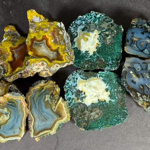 Puede incluir: Una colección de siete rodajas de ágata pulida con patrones y colores variados. Las piedras muestran bandas de amarillo, marrón, verde oscuro, blanco y azul translúcido, con algunas piezas que presentan inclusiones tipo musgo y centros cristalinos.