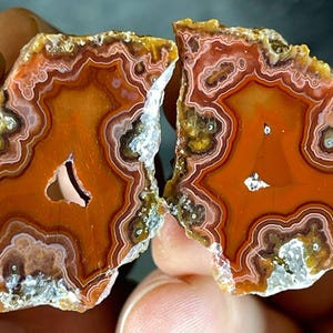 Op de afbeelding: Twee helften van een gepolijste agaatsteen, met ingewikkelde patronen. De steen heeft banden van oranje, bruin en wit, met een centrale leegte. De natuursteen wordt tussen de vingers gehouden, wat de unieke geologische formaties benadrukt.