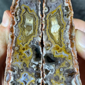 Può includere: Due metà di una pietra d'agata lucidata, che mostra motivi intricati. La pietra presenta fasce marroni, gialle, bianche e grigie, con un centro scuro. I bordi sono di colore marrone rossiccio. Ideale per i collezionisti.