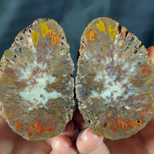 Puede incluir: Dos mitades de una piedra pulida, que muestran una sección transversal detallada. La piedra presenta un patrón blanco central que irradia hacia afuera, con acentos de naranja, amarillo y rojo sobre un fondo marrón y gris. La piedra está sostenida en las manos de una persona.