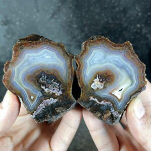 Peut inclure: Deux moitiés d'une pierre d'agate polie, présentant des bandes concentriques de couleurs. La pierre présente un mélange de teintes marron, blanches, bleues et violettes, avec un centre cristallin. Les bords rugueux contrastent avec l'intérieur lisse et poli.