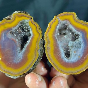 Puede incluir: Dos mitades de una geoda de ágata pulida, que muestran bandas concéntricas de color. El borde exterior es amarillo vibrante, seguido de una banda naranja y un centro de púrpura y blanco. El centro presenta una cavidad cristalina brillante.
