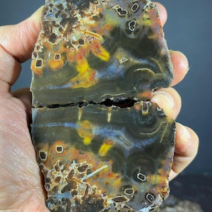 Puede incluir: Una losa pulida de piedra ágata con un patrón complejo de bandas de color marrón oscuro, gris translúcido y amarillo vibrante. El espécimen mineral muestra inclusiones naturales, anillos concéntricos y formaciones cristalinas.