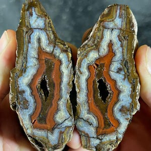 Puede incluir: Una geoda dividida que presenta bandas concéntricas de capas minerales blancas, azul claro y marrón rojizo intenso. El centro de cada mitad contiene una pequeña cavidad hueca y oscura rodeada de intrincados patrones cristalinos ondulados.