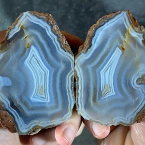 Puede incluir: Dos mitades de una piedra de ágata pulida, que muestran bandas concéntricas de tonos azules, blancos y marrones. Los patrones naturales de la piedra crean un diseño único. Los bordes marrones ásperos contrastan con el interior liso y pulido.