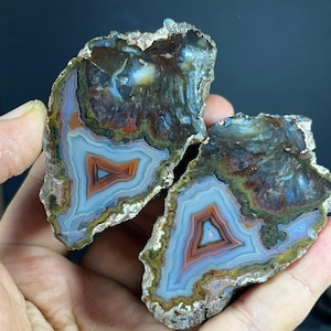 Puede incluir: Dos rodajas de ágata pulida con bandas concéntricas de color azul, blanco, naranja y marrón. Las piedras presentan un centro cristalino translúcido con un borde exterior rugoso y texturizado, mostrando patrones naturales complejos.