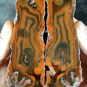 May include: Two halves of a polished agate stone, displaying intricate patterns of orange, brown, and black bands. The natural stone has a rough, textured exterior and a smooth, polished interior, revealing unique geological formations.