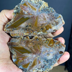 May include: Two polished slices of agate featuring geometric, diamond-shaped patterns in shades of amber, brown, and cream. The stones display intricate crystalline structures with dark, speckled mineral inclusions along the outer edges.