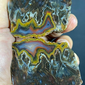 Puede incluir: Dos rodajas de ágata pulida con intrincadas bandas dentadas en tonos vibrantes de amarillo, naranja y azul profundo, sobre un fondo marrón oscuro translúcido con estructuras cristalinas visibles en toda la superficie mineral.