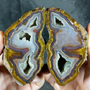 May include: Two halves of a polished agate geode, displaying concentric bands of colour. The interior features a crystalline cavity. Colours include white, purple, brown, and yellow, creating a striking visual display. A natural stone specimen.