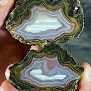 May include: Two polished halves of a banded agate stone featuring concentric layers of olive green, dark brown, and white. The centre of each piece contains a smooth, opaque white core with subtle translucent lavender and peach-coloured accents.