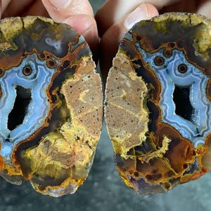 Op de afbeelding: Twee helften van een gepolijste agaatsteen, die een natuurlijke geodeformatie laten zien. De steen heeft concentrische banden in blauwe, bruine en gele tinten, met een centrale holte. De steen wordt vastgehouden door de handen van een persoon.