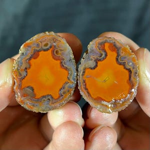 May include: Two halves of a polished agate stone, displaying a bright orange core encircled by complex patterns of grey, purple, and brown. The stone's edges are rough and textured, revealing its natural formation. The agate is held in a person's hands.