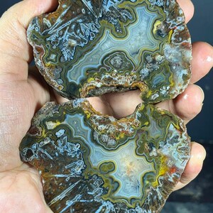 Puede incluir: Dos rodajas de ágata pulida con bandas intrincadas en tonos marrón, amarillo y blanco translúcido. Las piedras muestran patrones cristalinos en forma de estrella y anillos concéntricos, exhibiendo una formación mineral natural multicolor.