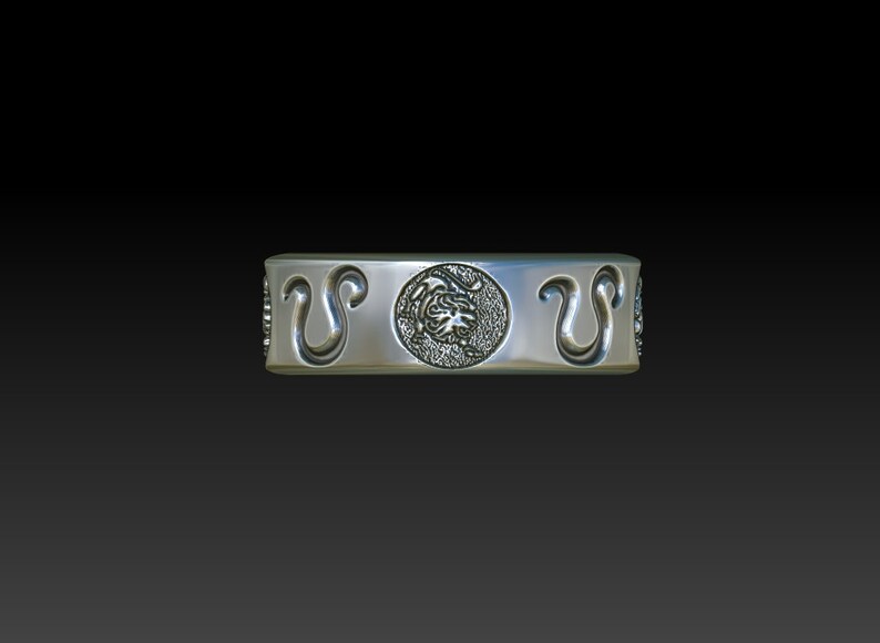 Leo men women ring zodiac sign band constellation women men ring LB