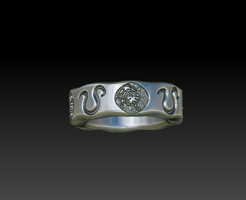 Leo men women ring zodiac sign band constellation women men ring LB