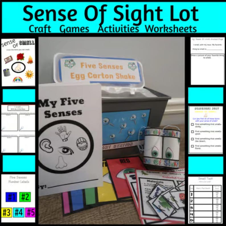 Five Senses: Sense of SIGHT Activities, Crafts, Games & Worksheets - Etsy