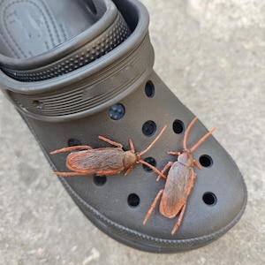 May include: A black foam clog shoe featuring a series of circular ventilation holes on the top surface, with two realistic brown plastic cockroach figures positioned on the front of the shoe, showcasing detailed wings, long antennae, and legs.