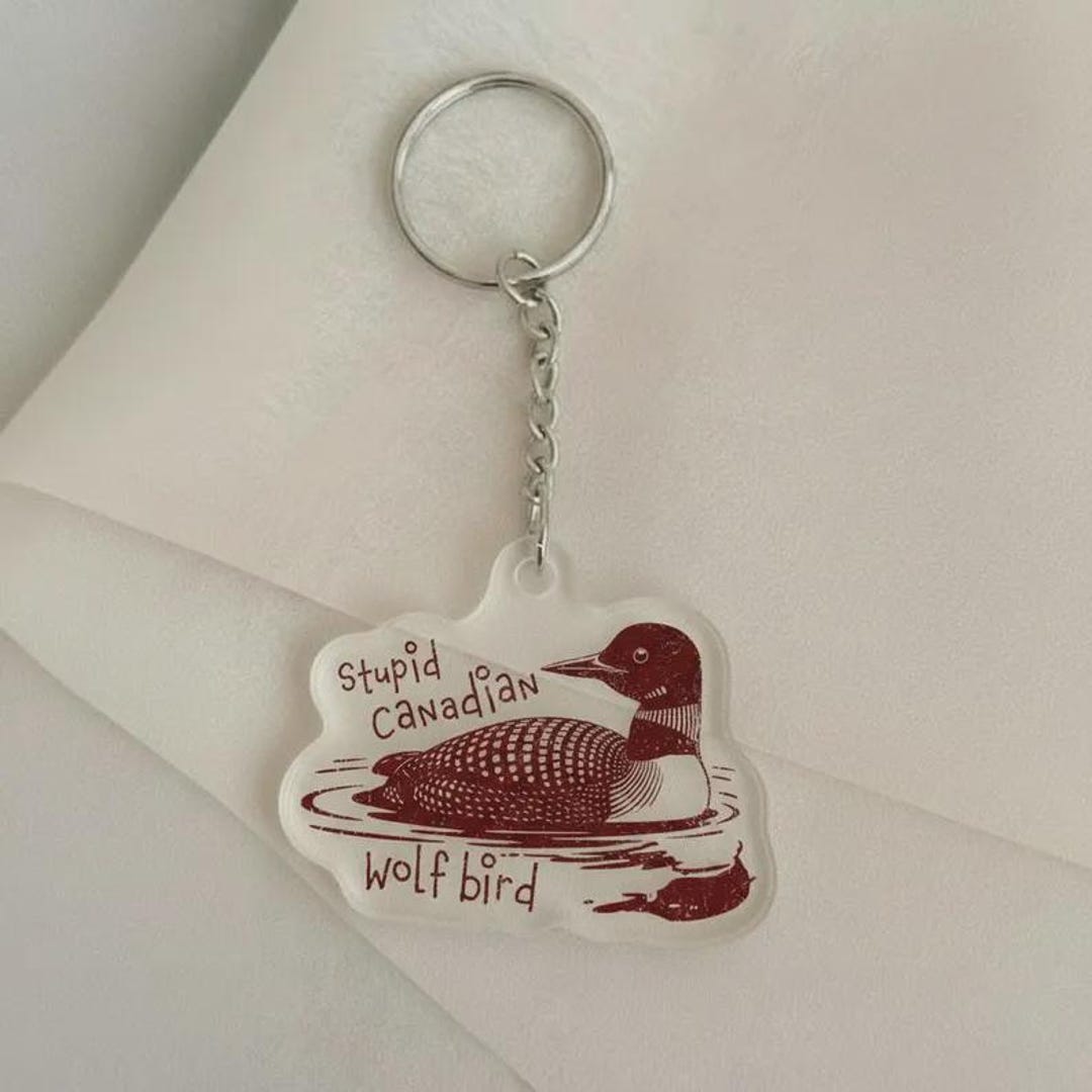 Stupid Canadian Wolf Bird Keychain, Hockey Romance Bookish Gift, Hockey ...