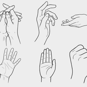 以下が含まれることがあります： さまざまなポーズの手の線画イラスト。画像には、組まれた手、開いた手、握りこぶしが描かれています。イラストは白黒で、手の細部に焦点を当てています。